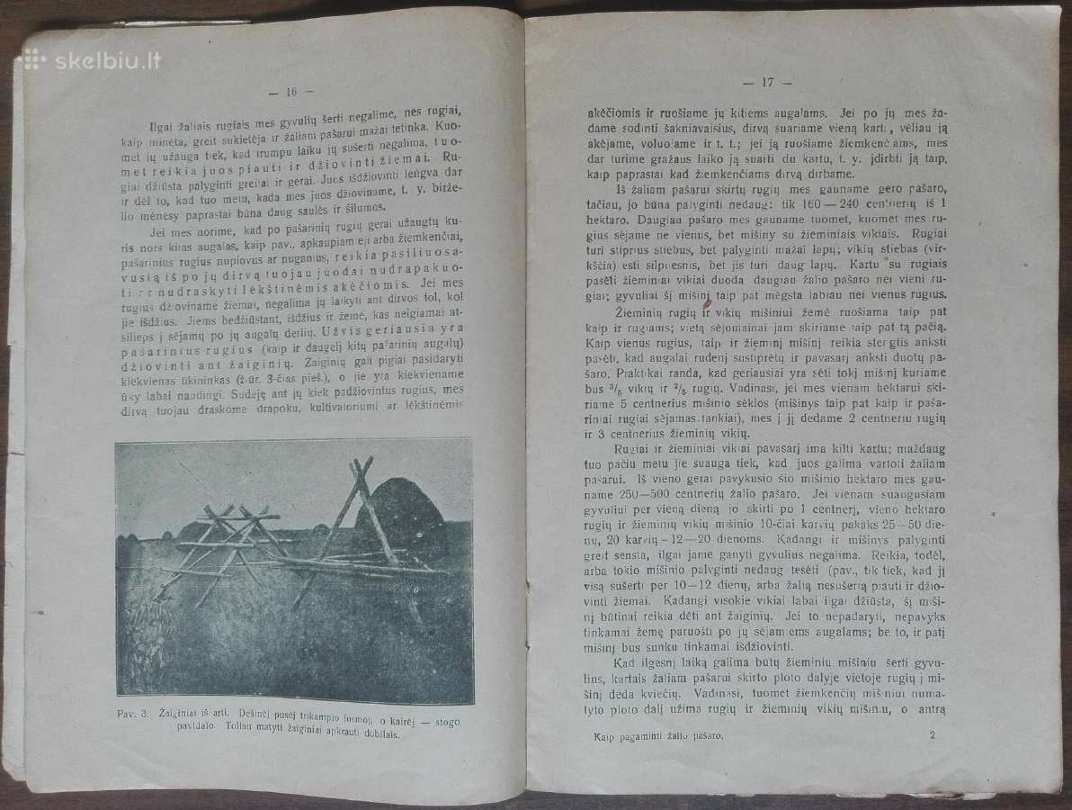 1592. Kaip Pagaminti Žalio Pašaro reta antikvarinė - nuotraukos Nr. 4