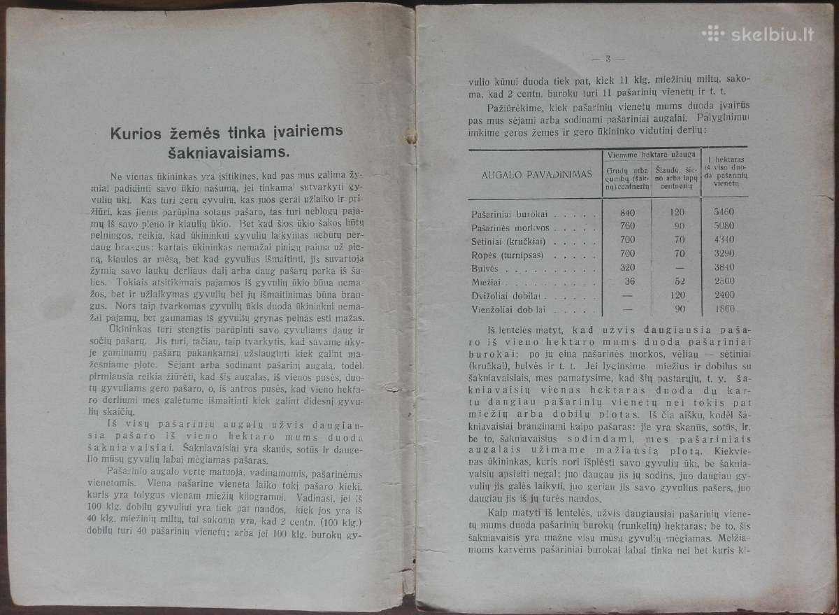 1593. Pašarinių Morkvų Sėtinių Ir Ropių Auginimas - nuotraukos Nr. 2