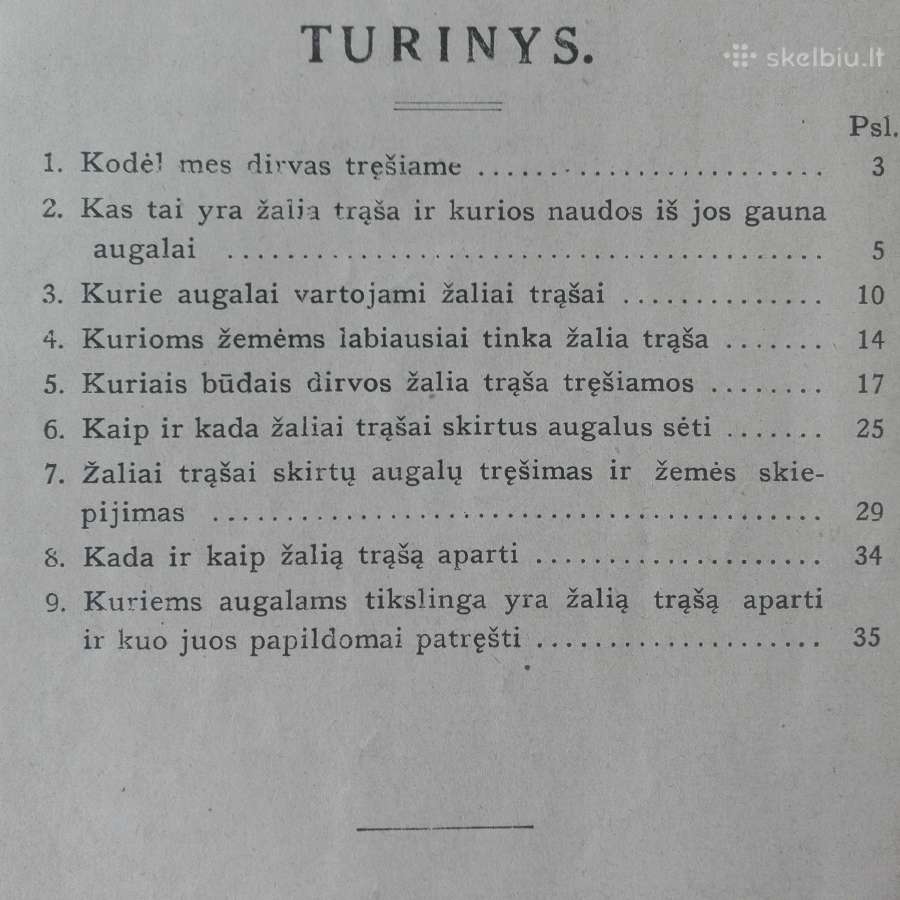 1594. Žalia Trąša reta antikvarinė-kolekcinė - nuotraukos Nr. 2