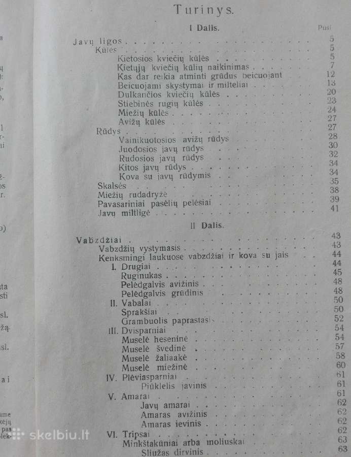 1595. Varpinių Javų Ligos Ir Gadintojai reta antik - nuotraukos Nr. 2