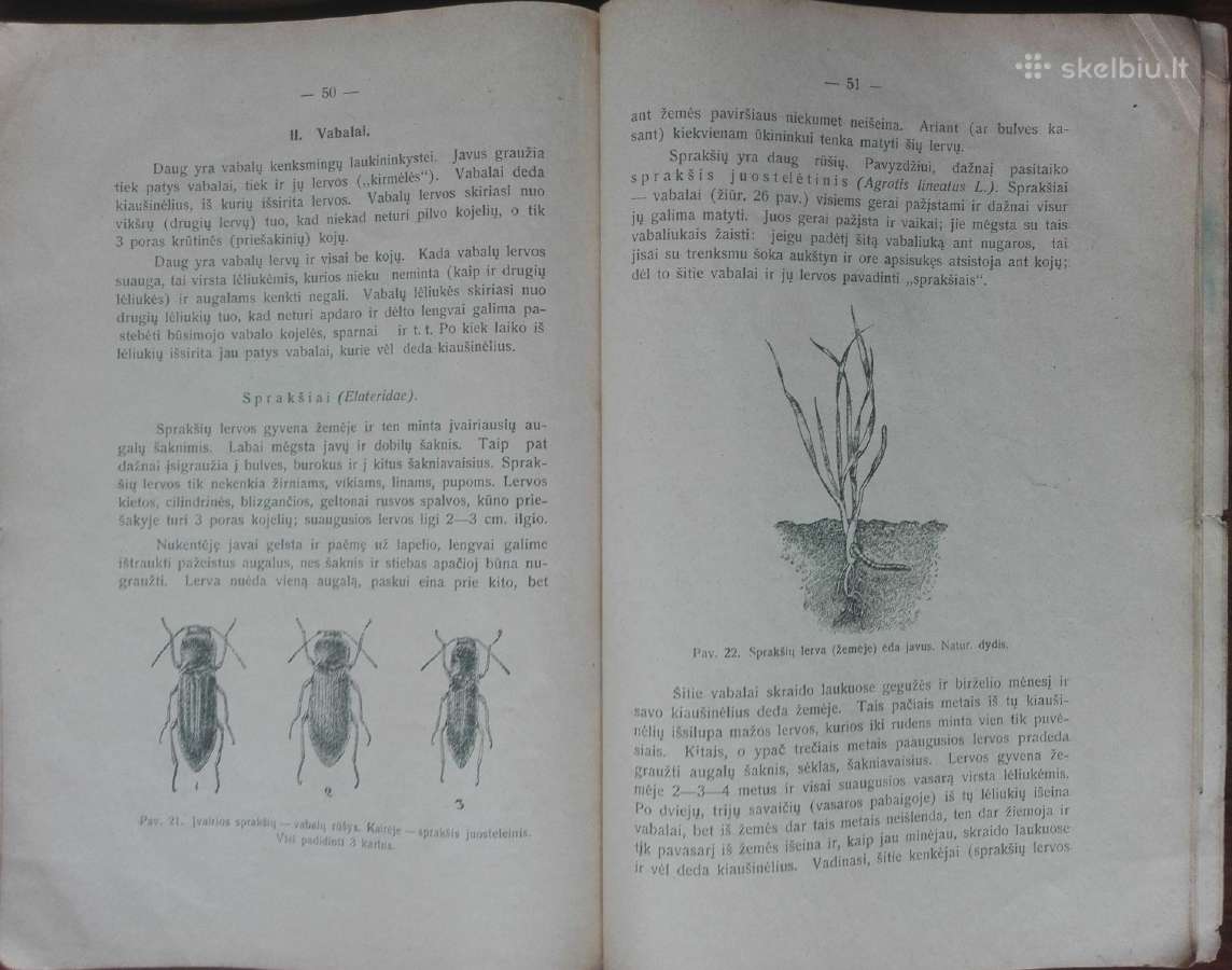 1595. Varpinių Javų Ligos Ir Gadintojai reta antik - nuotraukos Nr. 8