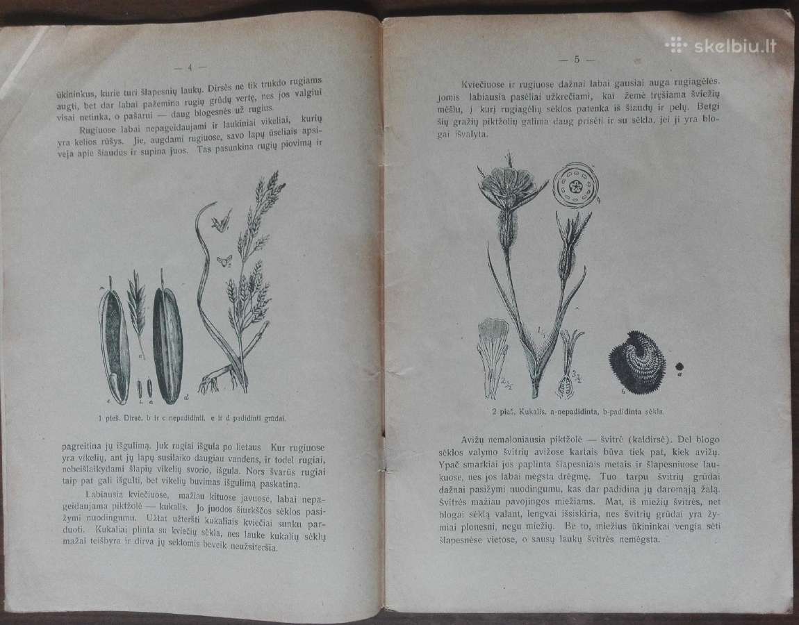 1596. Sėkla Ir Sėja reta antikvarinė-kolekcinė - nuotraukos Nr. 2