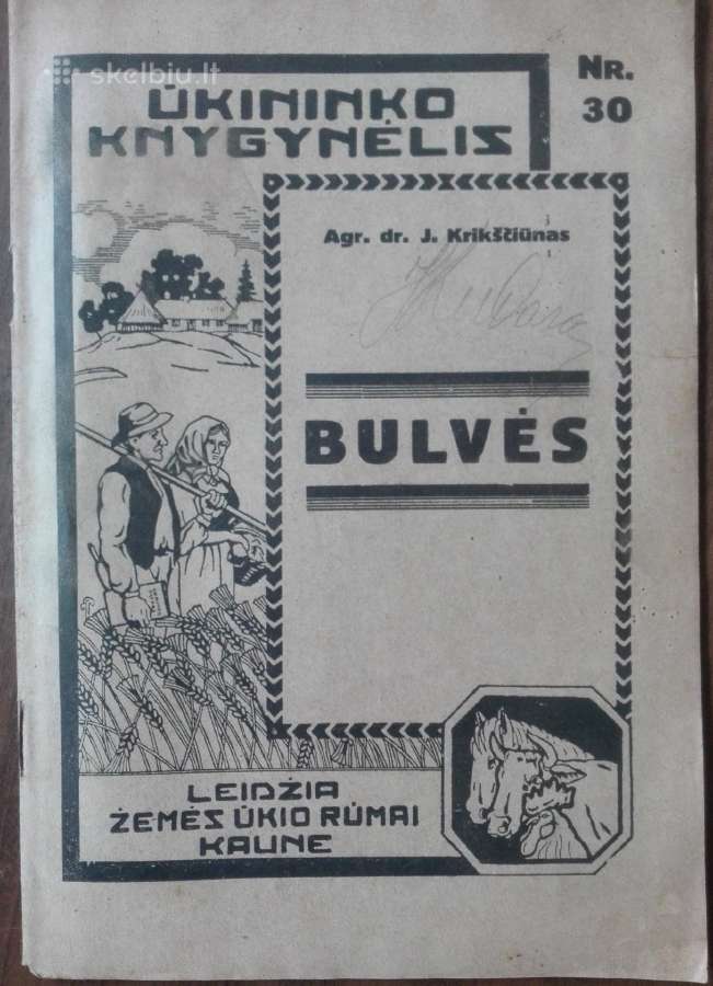 1597. Bulvės reta antikvarinė-kolekcinė