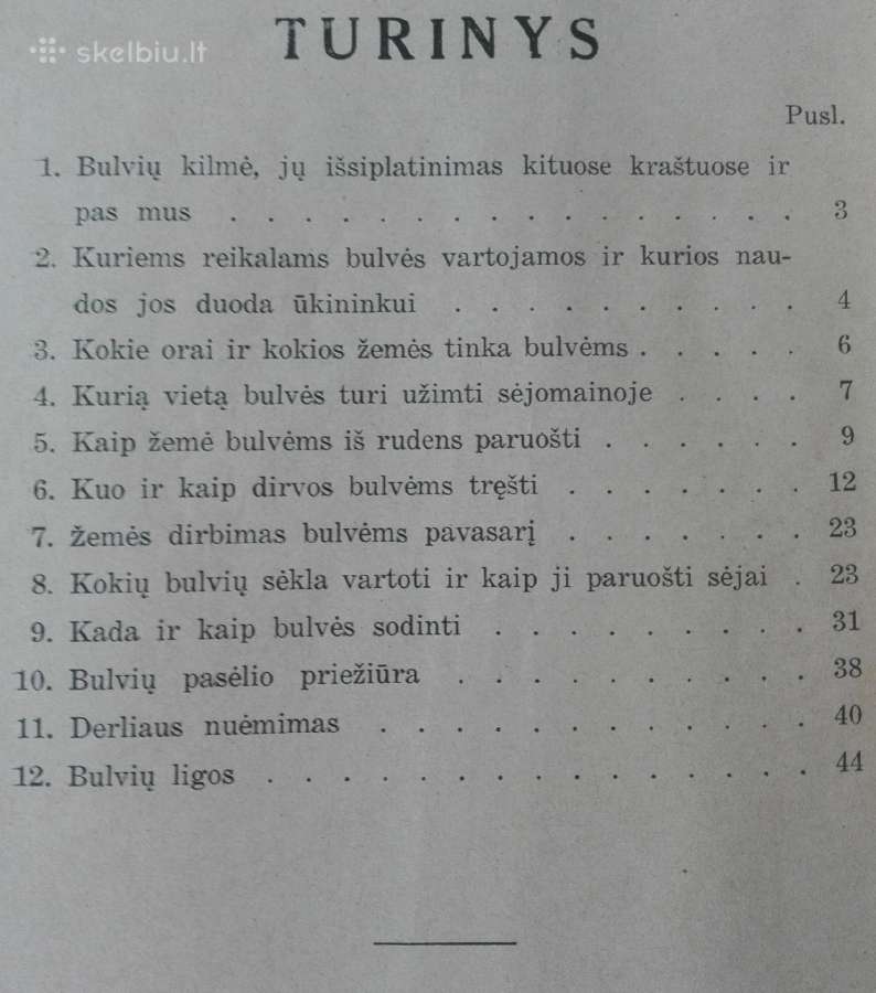 1597. Bulvės reta antikvarinė-kolekcinė - nuotraukos Nr. 2