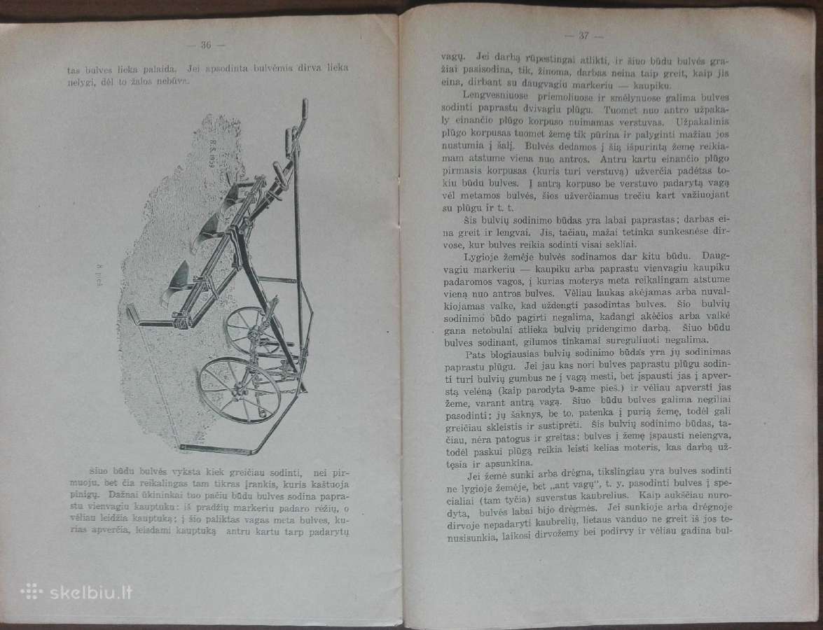 1597. Bulvės reta antikvarinė-kolekcinė - nuotraukos Nr. 5