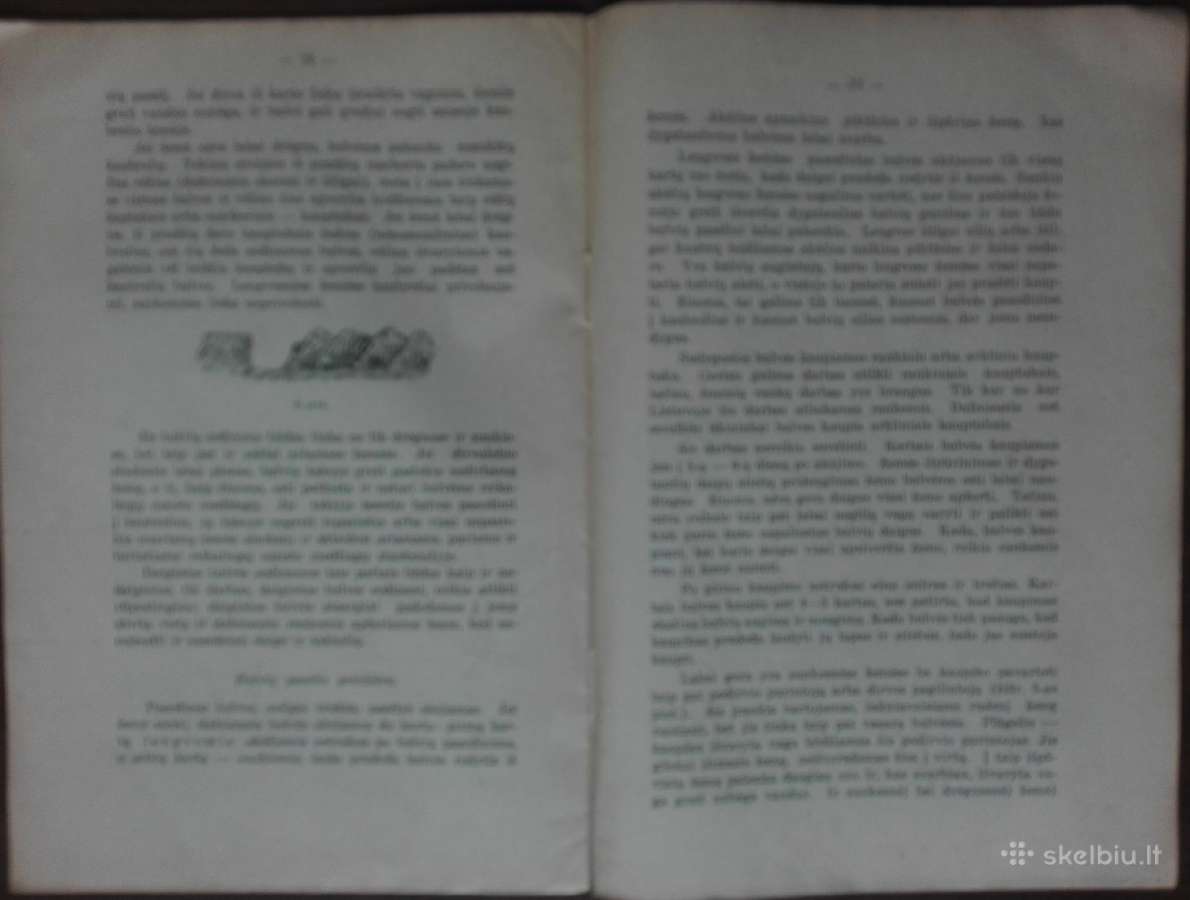 1597. Bulvės reta antikvarinė-kolekcinė - nuotraukos Nr. 6