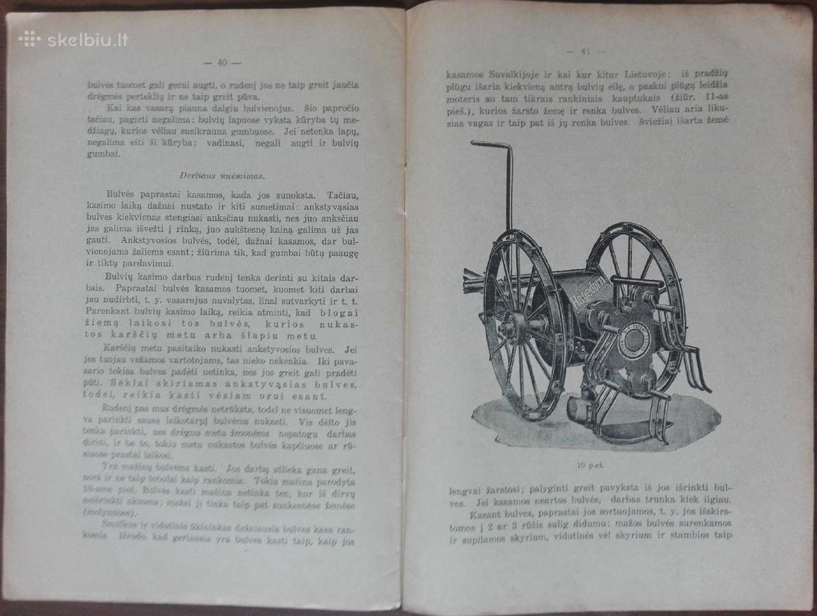 1597. Bulvės reta antikvarinė-kolekcinė - nuotraukos Nr. 7