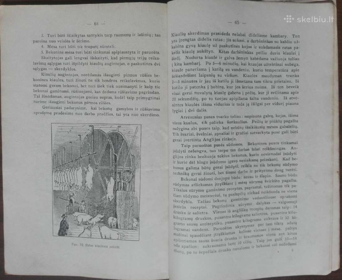1600. Bekoniniėms Kiaulėms Gerinti Priemonės - nuotraukos Nr. 6