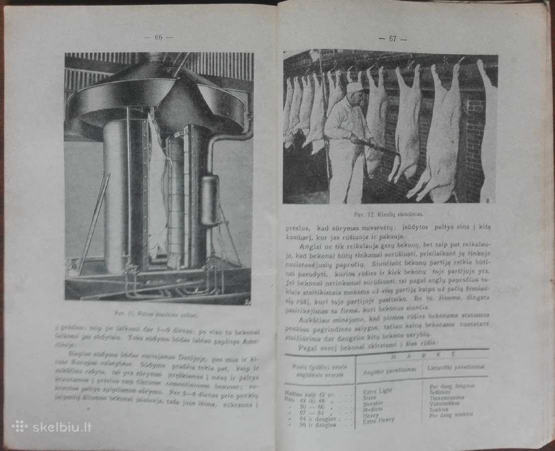 1600. Bekoniniėms Kiaulėms Gerinti Priemonės - nuotraukos Nr. 7