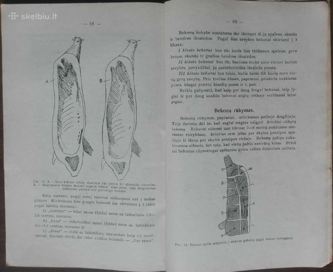 1600. Bekoniniėms Kiaulėms Gerinti Priemonės - nuotraukos Nr. 8