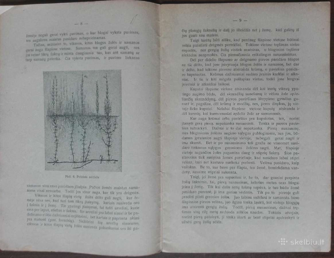 1601. Pievų Pagerinimas reta antikvarinė-kolekcinė - nuotraukos Nr. 4