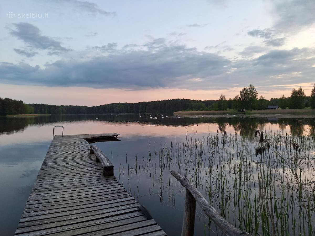 Ramus poilsis prie ežero, miške - nuotraukos Nr. 18