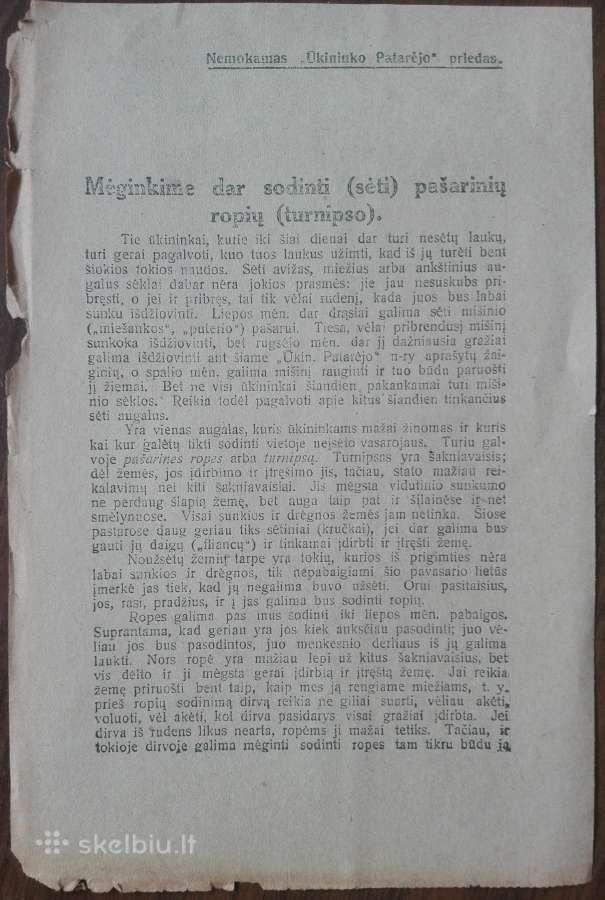 1605. Mėginkime Dar Sodinti (Sėti) Pašarinių Ropių