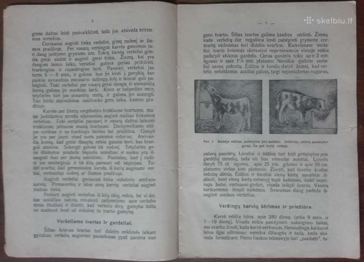 1585. Veršelių Auginimas Ir Jų Priežiūra reta anti - nuotraukos Nr. 3