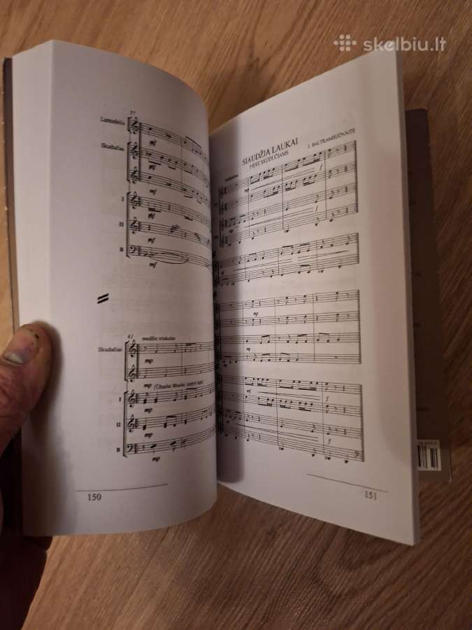 Lietuvių tradiciniai instrumentiniai ansambliai - nuotraukos Nr. 3