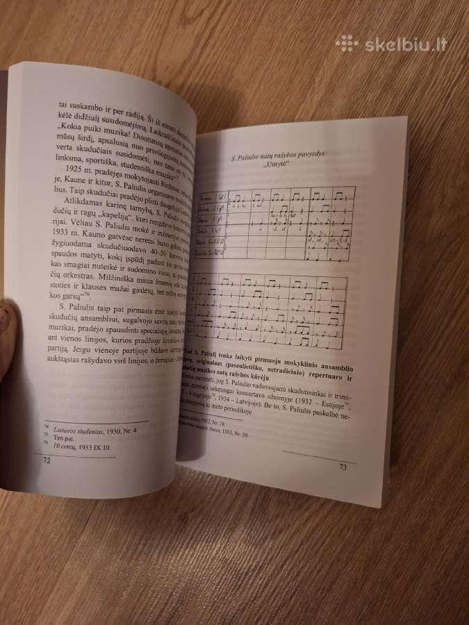 Lietuvių tradiciniai instrumentiniai ansambliai - nuotraukos Nr. 5