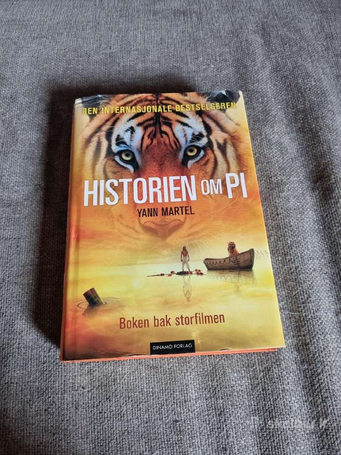 Pi istorija