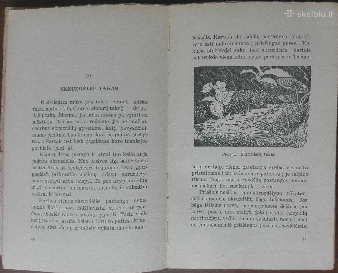 1612. Mano Pažintys Su Gyvūnais - nuotraukos Nr. 5