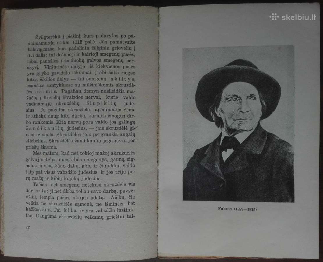 1612. Mano Pažintys Su Gyvūnais - nuotraukos Nr. 6