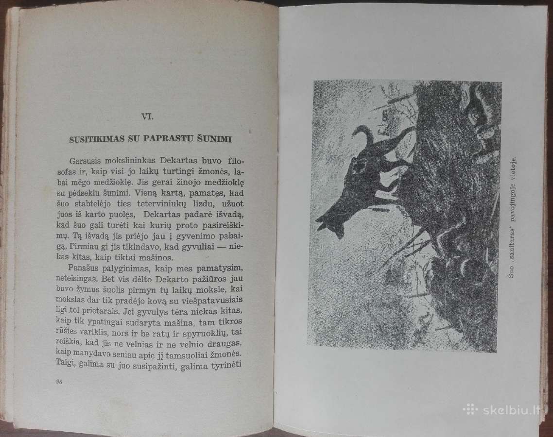 1612. Mano Pažintys Su Gyvūnais - nuotraukos Nr. 8