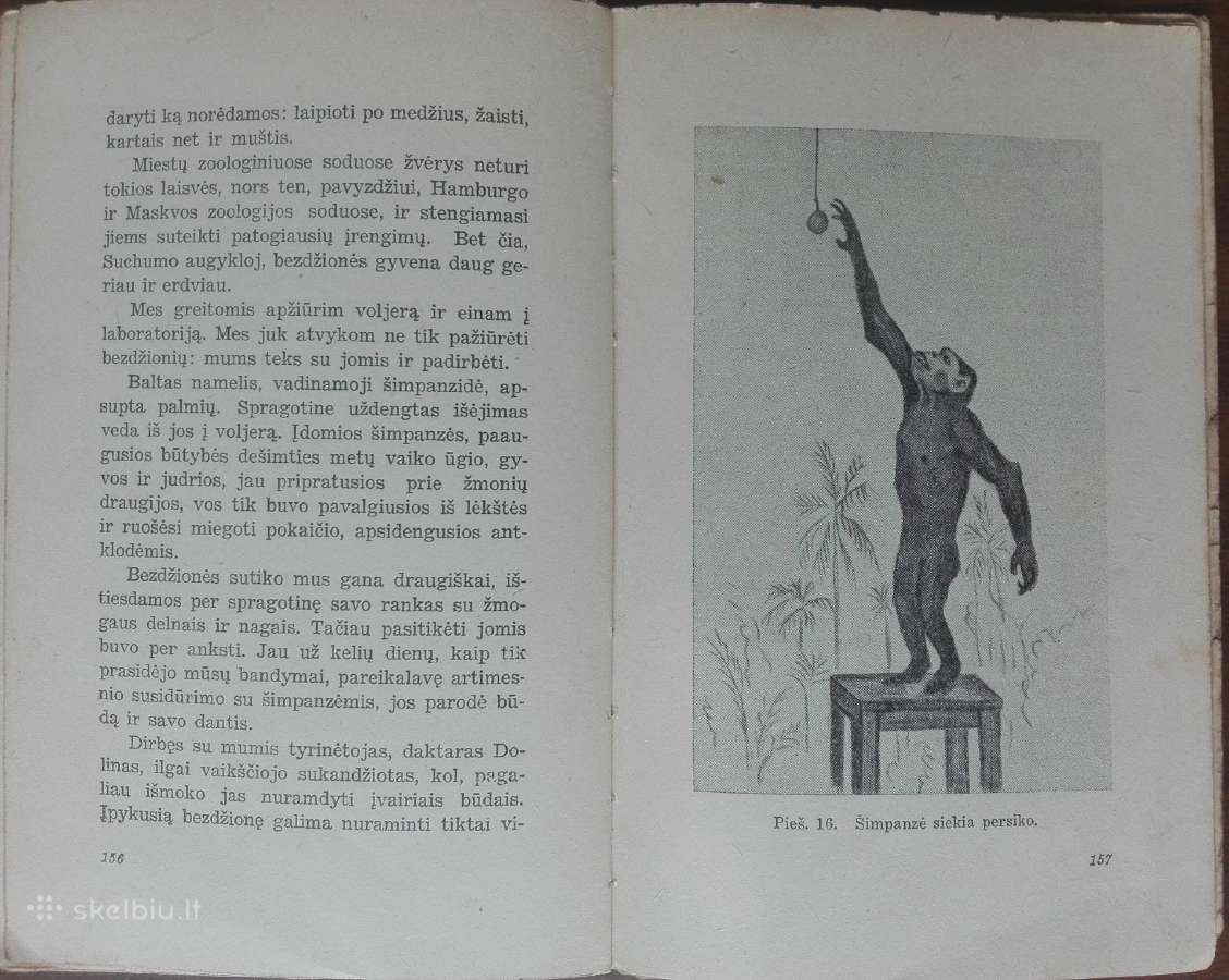 1612. Mano Pažintys Su Gyvūnais - nuotraukos Nr. 10