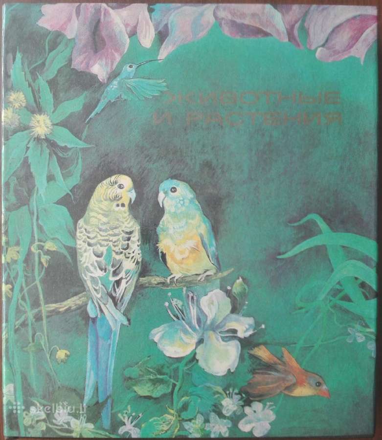 1613. Животные И Растения
