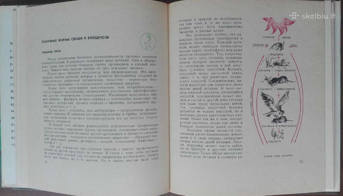 1613. Животные И Растения - nuotraukos Nr. 6