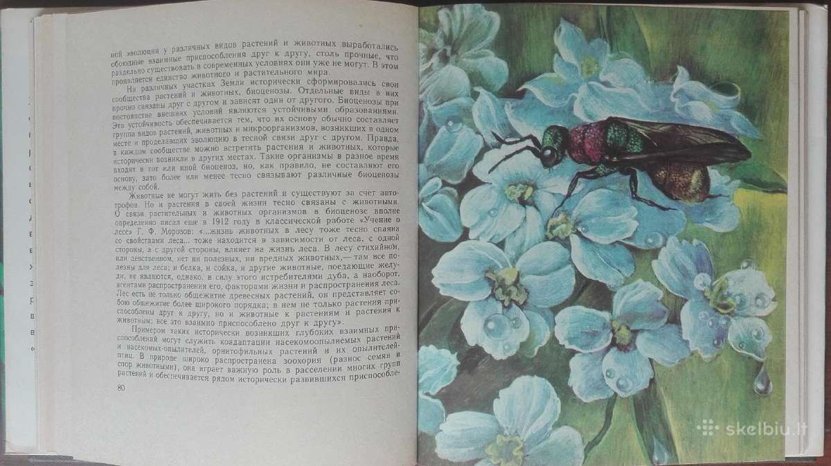 1613. Животные И Растения - nuotraukos Nr. 7