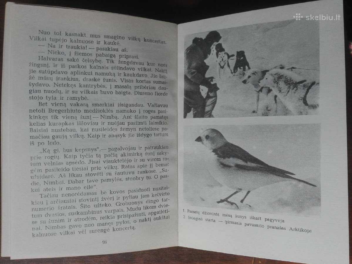 1614. Žvėrių Ir Paukščių Takais J. Jiaveris - nuotraukos Nr. 3