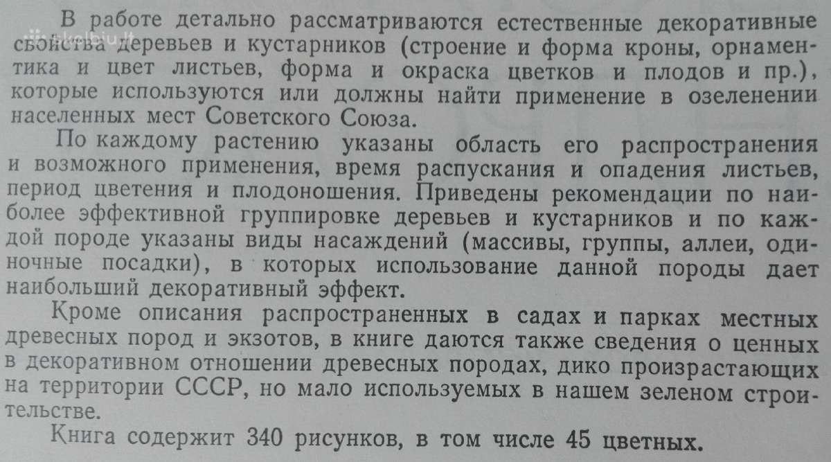 1620. Декоративная Дендрология - nuotraukos Nr. 2