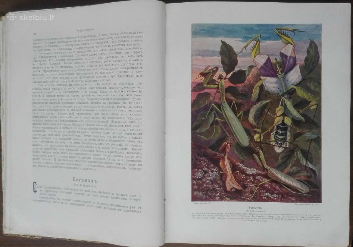 1621. Чудеса Природы - nuotraukos Nr. 8