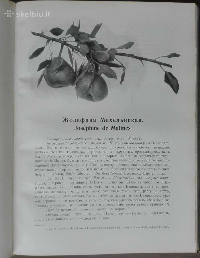 1622. Крымское Промышленное Плодоводство - nuotraukos Nr. 17