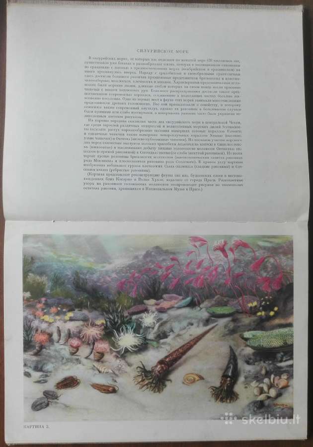 1624. По Путям Развития Жизни - nuotraukos Nr. 5