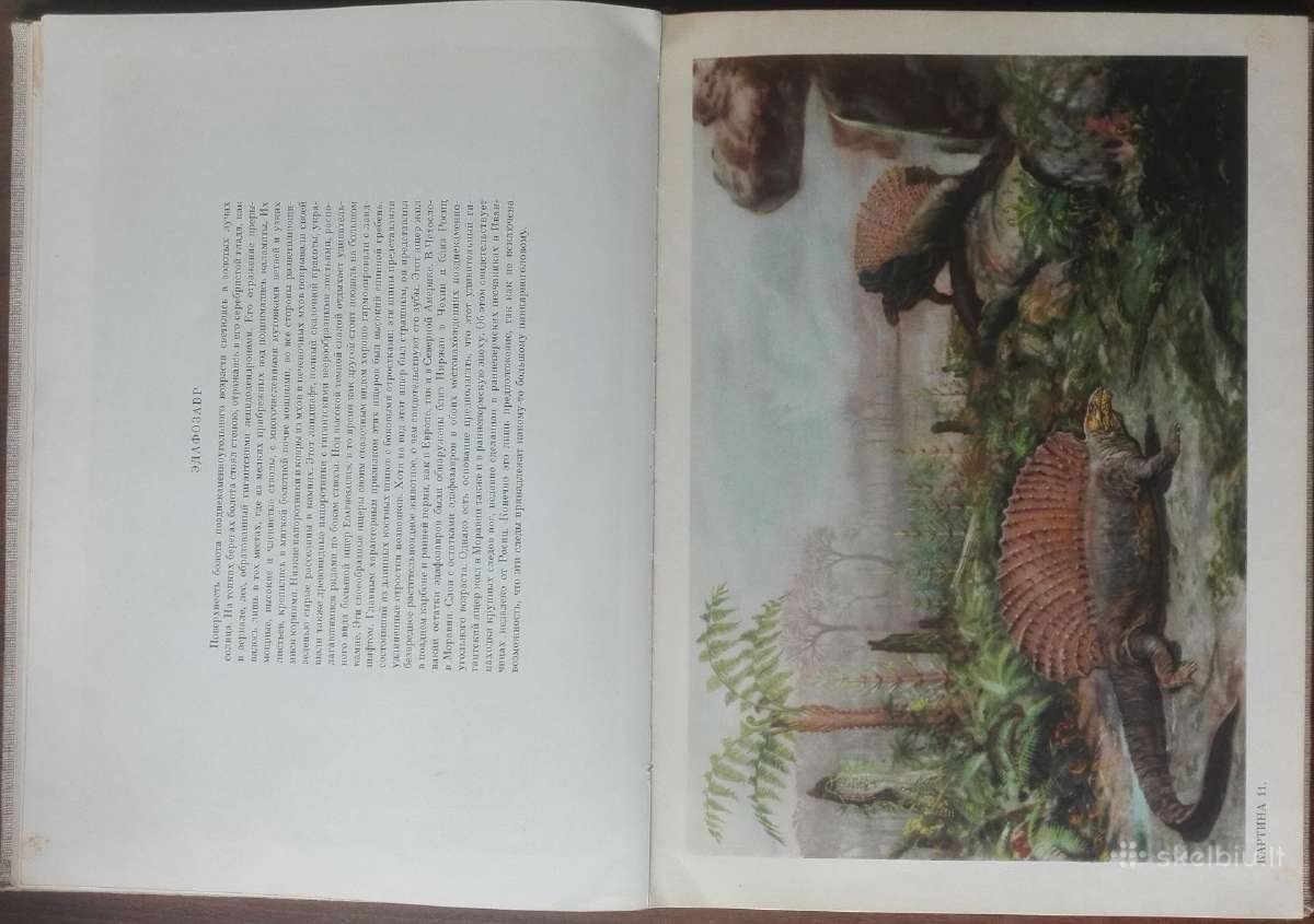 1624. По Путям Развития Жизни - nuotraukos Nr. 7
