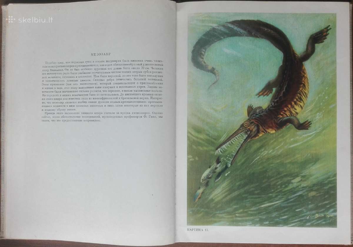 1624. По Путям Развития Жизни - nuotraukos Nr. 8