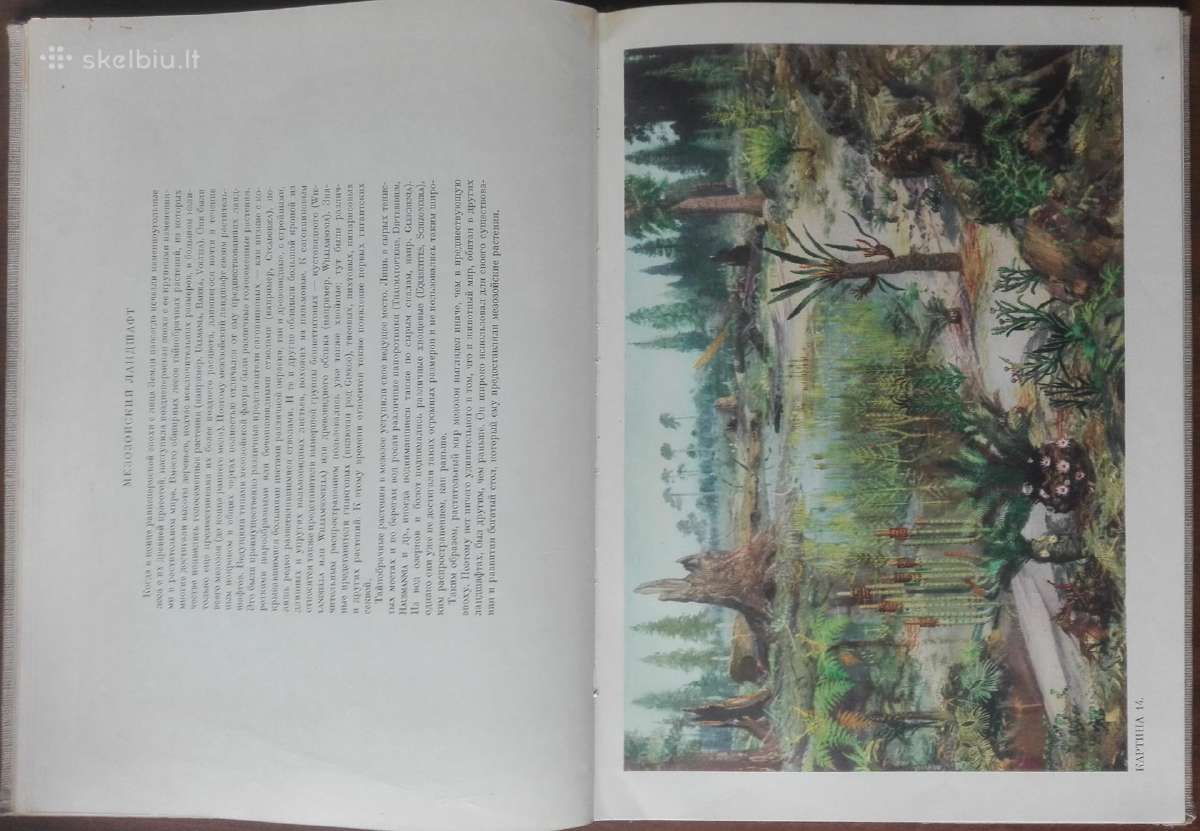1624. По Путям Развития Жизни - nuotraukos Nr. 9