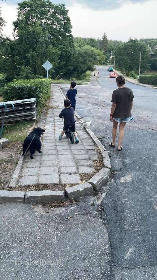 Parduodamos šamotinės plytos - nuotraukos Nr. 5