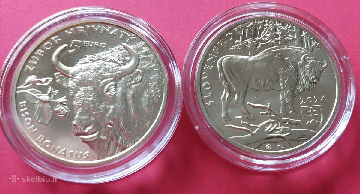 Slovakija 2024m 5 € Stumbras Unc