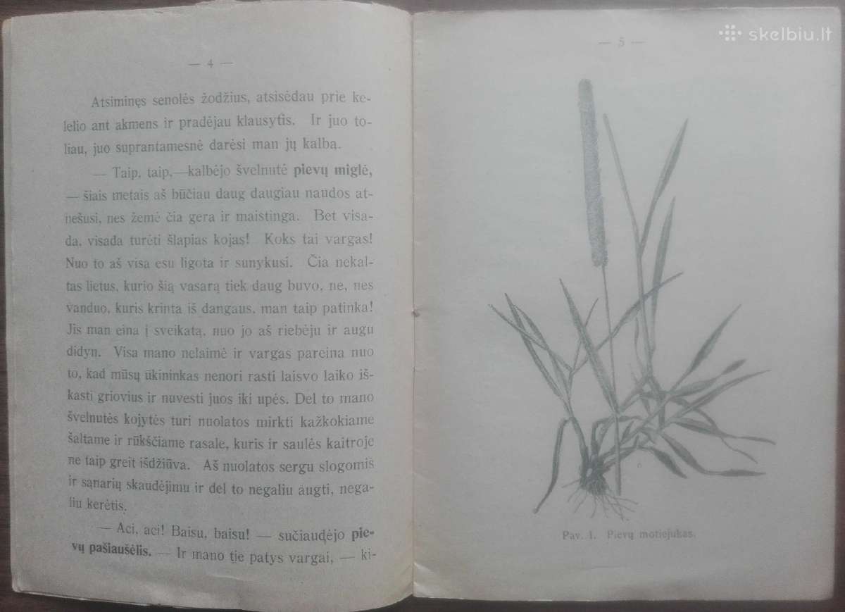 1634. Ką Aš Girdėjau Pievoje? labai reta antikvari - nuotraukos Nr. 2