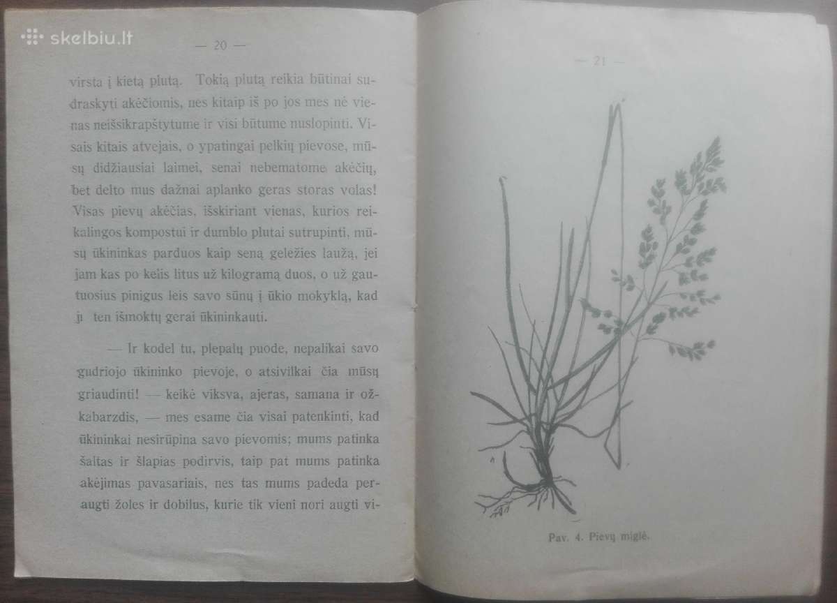 1634. Ką Aš Girdėjau Pievoje? labai reta antikvari - nuotraukos Nr. 3