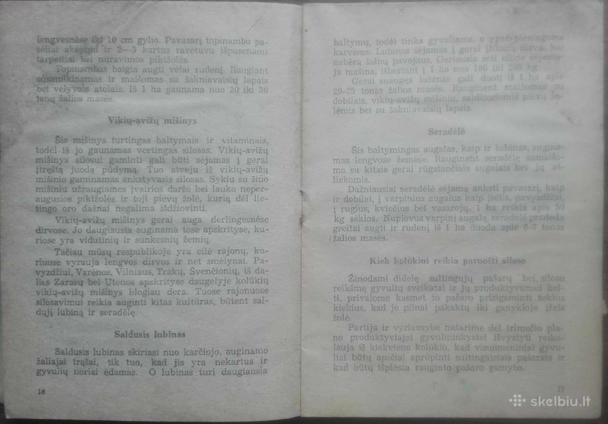 1635. Raugintas Pašaras labai reta antikvarinė-kol - nuotraukos Nr. 2
