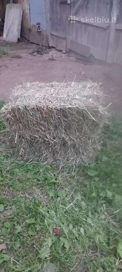 Grūdai, šienas, kiaušiniai. - nuotraukos Nr. 2