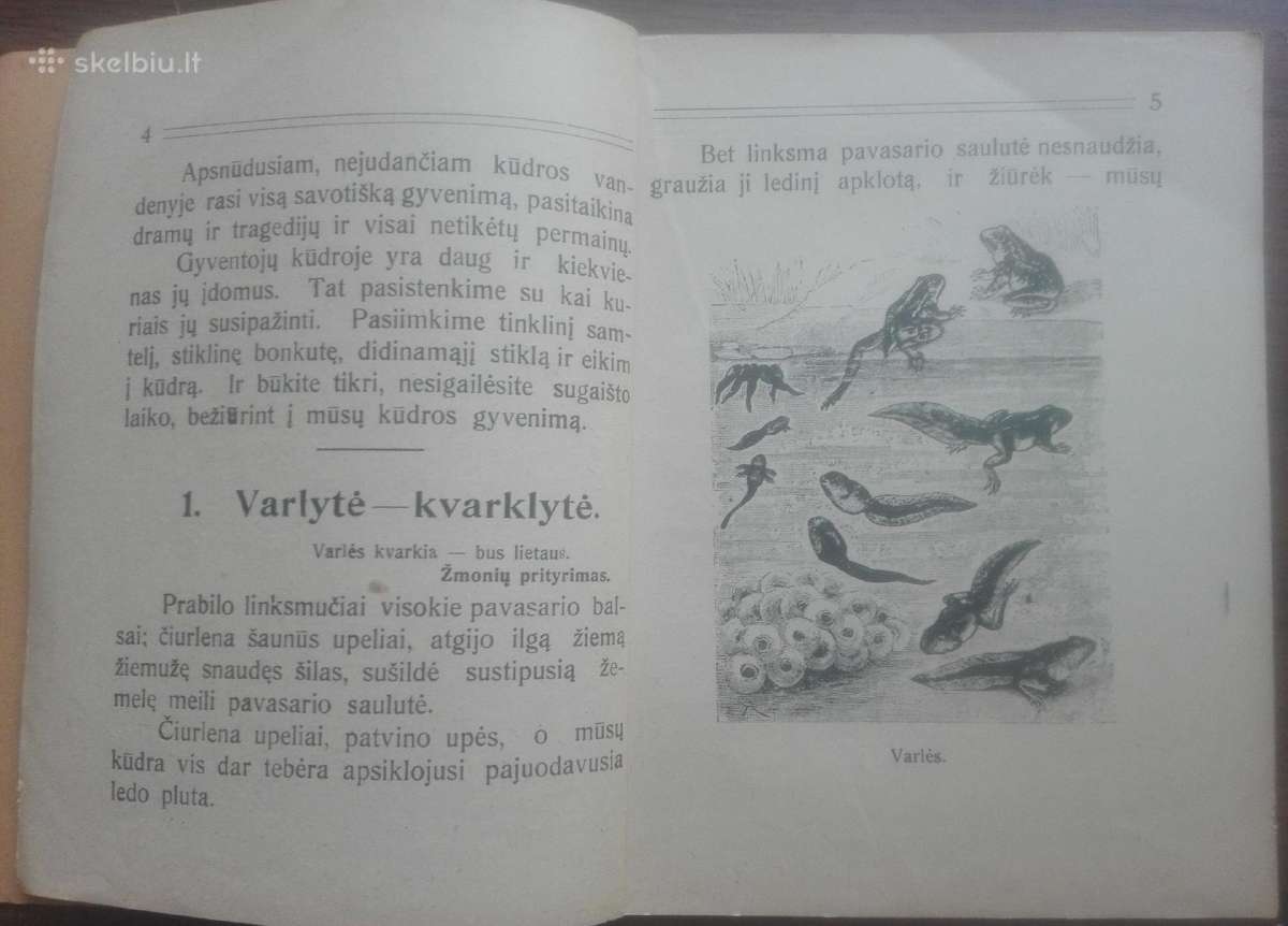 1641. Mūsų Kūdra labai reta antikvarinė-kolekcinė - nuotraukos Nr. 3