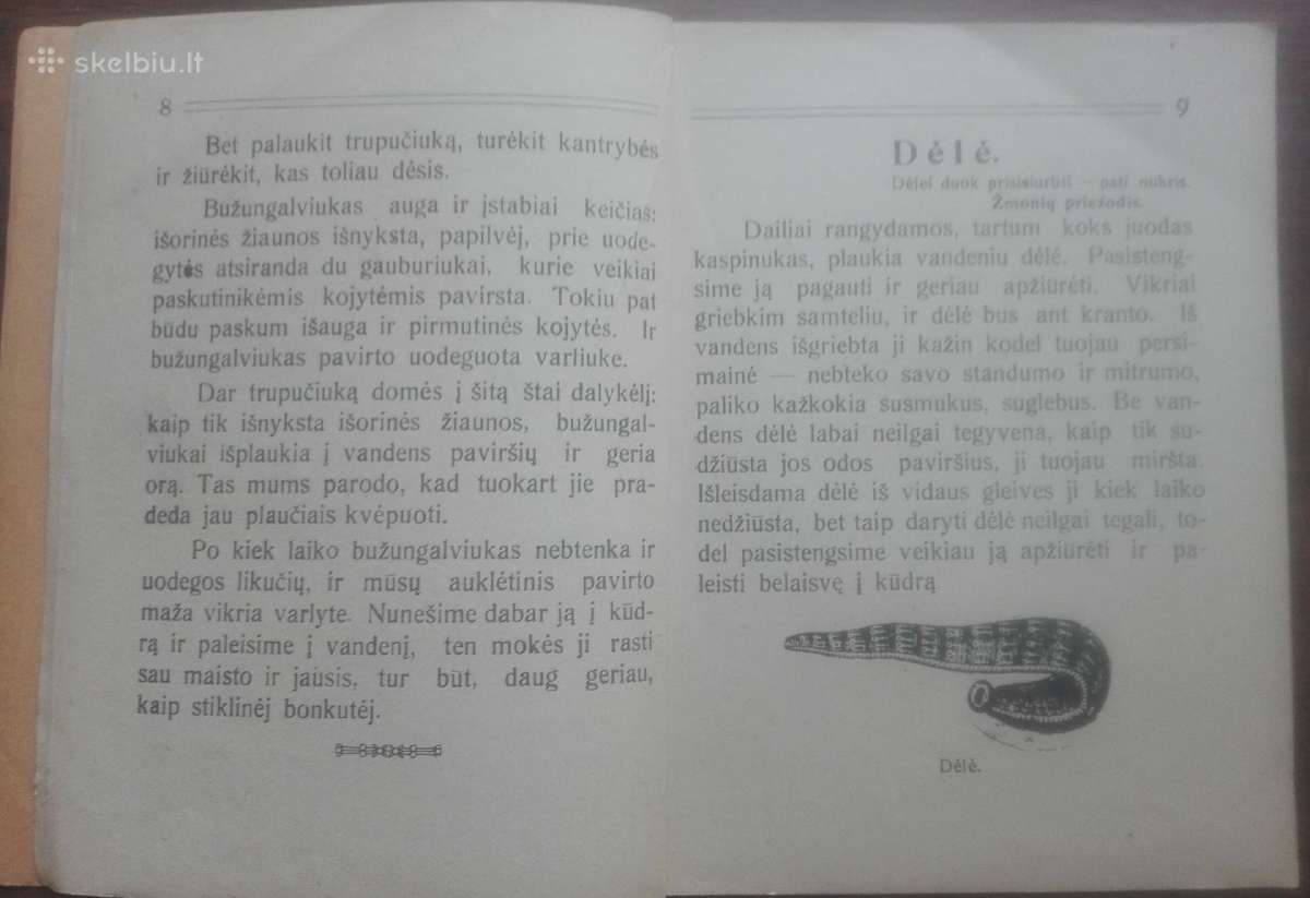 1641. Mūsų Kūdra labai reta antikvarinė-kolekcinė - nuotraukos Nr. 4