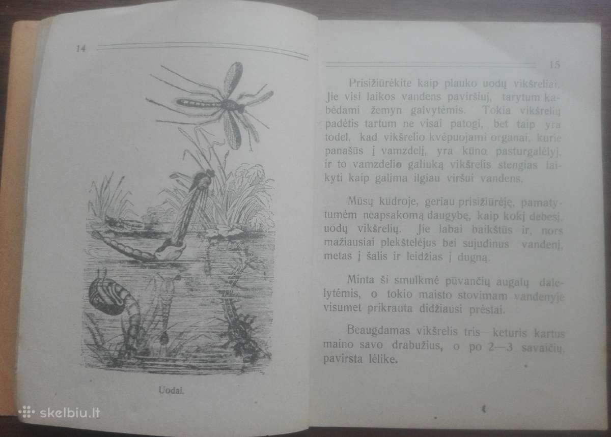 1641. Mūsų Kūdra labai reta antikvarinė-kolekcinė - nuotraukos Nr. 5