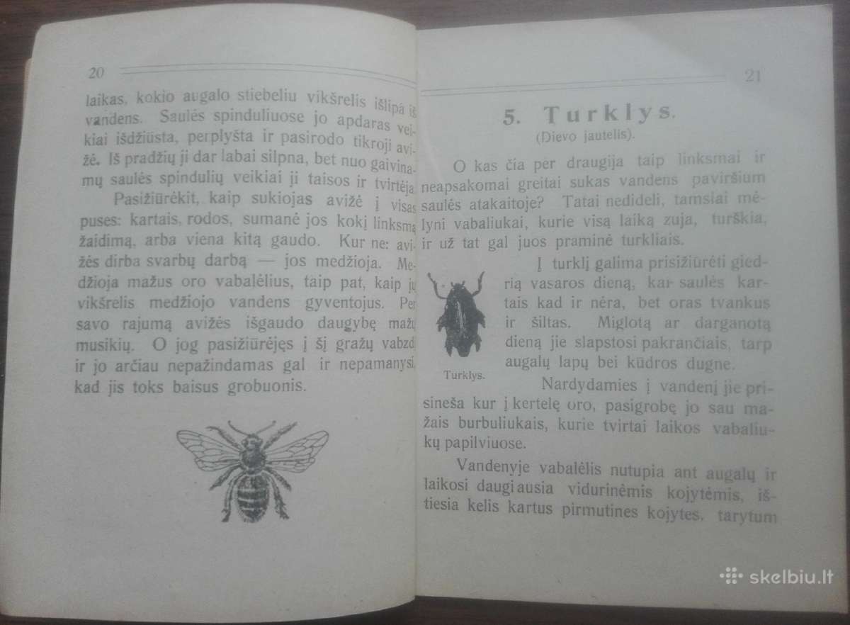 1641. Mūsų Kūdra labai reta antikvarinė-kolekcinė - nuotraukos Nr. 7