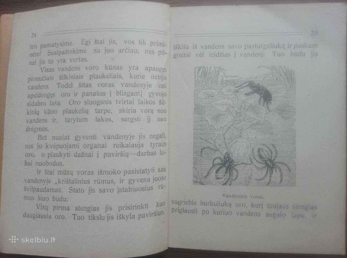 1641. Mūsų Kūdra labai reta antikvarinė-kolekcinė - nuotraukos Nr. 8