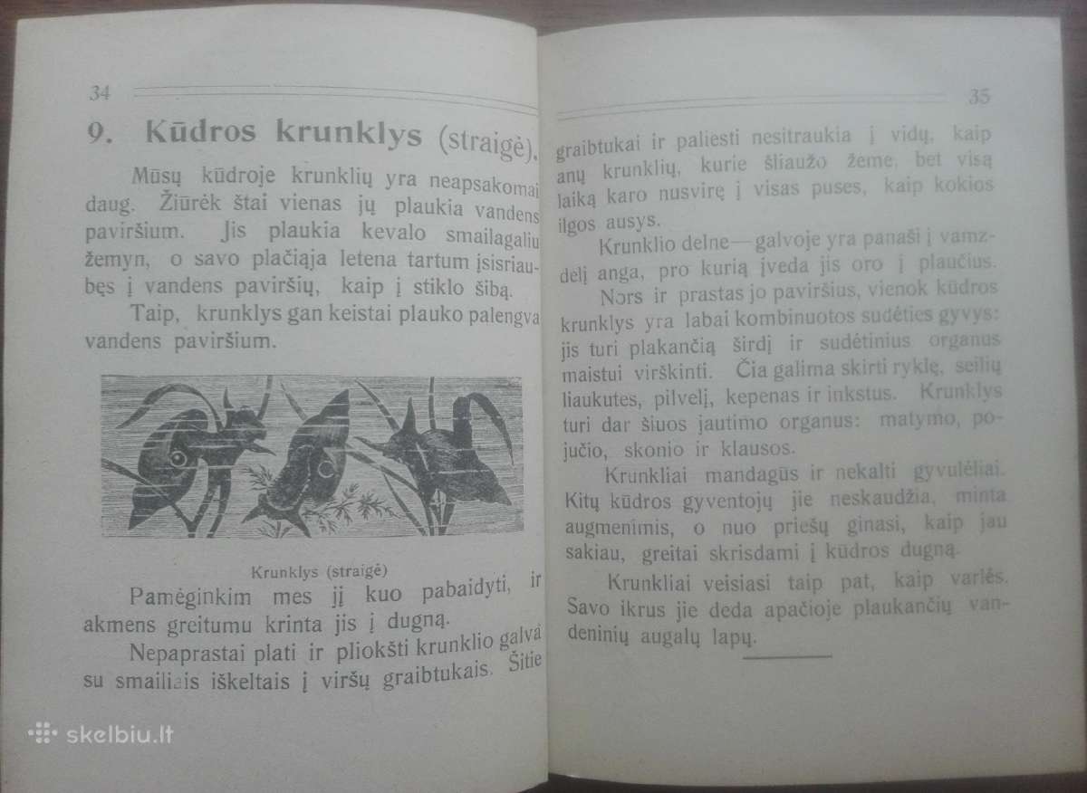 1641. Mūsų Kūdra labai reta antikvarinė-kolekcinė - nuotraukos Nr. 9