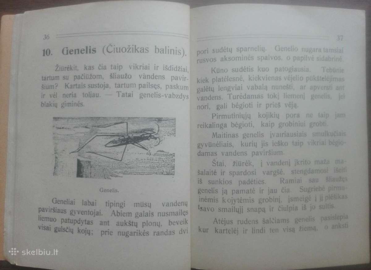1641. Mūsų Kūdra labai reta antikvarinė-kolekcinė - nuotraukos Nr. 10