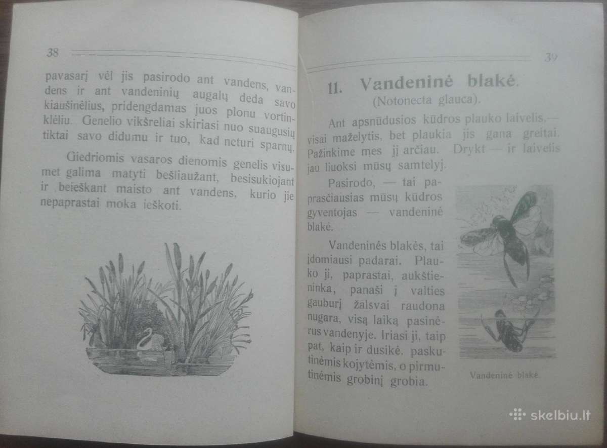 1641. Mūsų Kūdra labai reta antikvarinė-kolekcinė - nuotraukos Nr. 11